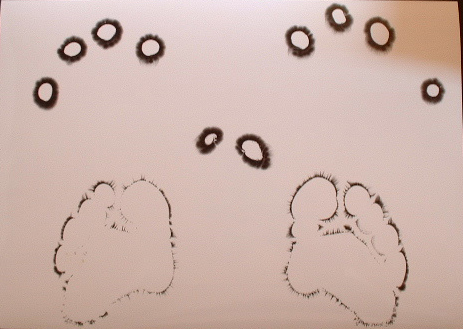 kirlianbild1